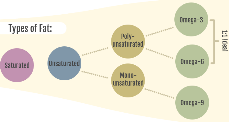 Types of fat: saturated, unsaturated, polyunsaturated, monounsaturated, omega-3, omega-6, omega-9, Ideal Fatty Acid Ratio