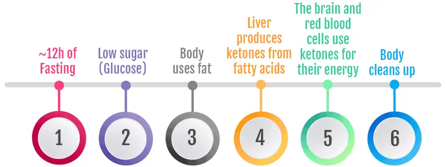Low sugar. Body uses fat. Liver produces ketones = fuel for the brain & red blood cells.